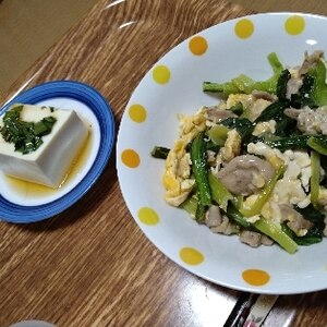 豚肉と小松菜の卵炒め